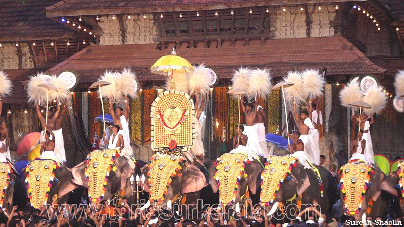 thrissur-pooram-2011- (37)